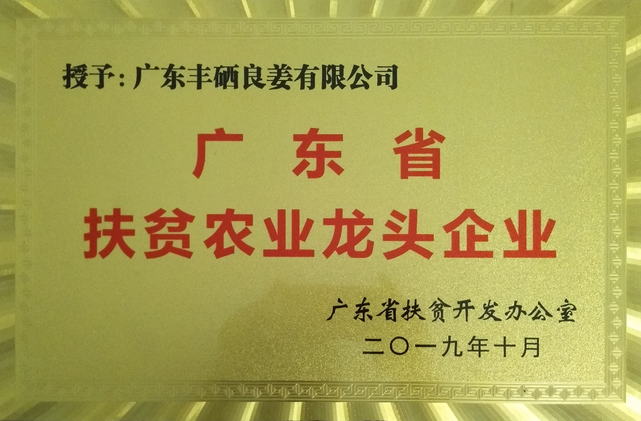 广东省扶贫农业龙头企业.PNG